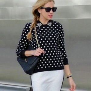 LOFT Navy with White Polka-dot Sweater.